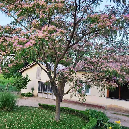 Apartament Kristina Ribarska Banja *